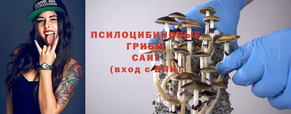 крисы Алзамай