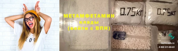 крисы Алзамай