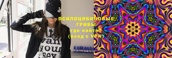 крисы Алзамай