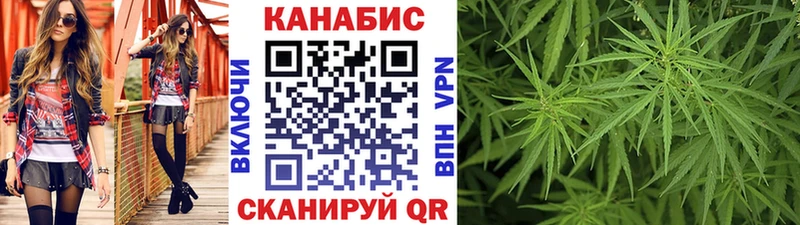 kraken как зайти  Стародуб  Шишки марихуана планчик  наркотики 